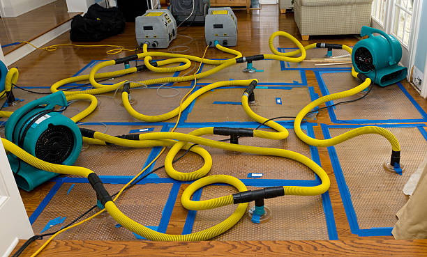 Professional Water Damage Repair technician working in Prairie City, IA
