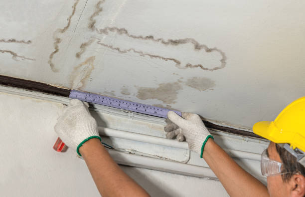 Affordable Water Damage Repair solutions in Prairie City, IA